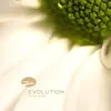 RMB - Evolution